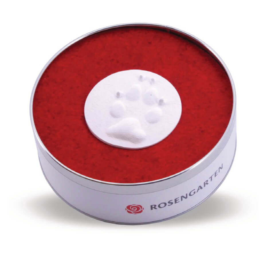 Pfotenabdruck Gips in Dose