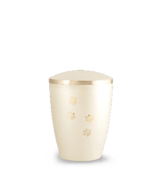 Edition Elegance - Farbe: Champagner