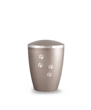 Edition Elegance - Farbe: Fumé