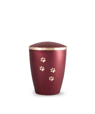 Edition Elegance - Farbe: Weinrot